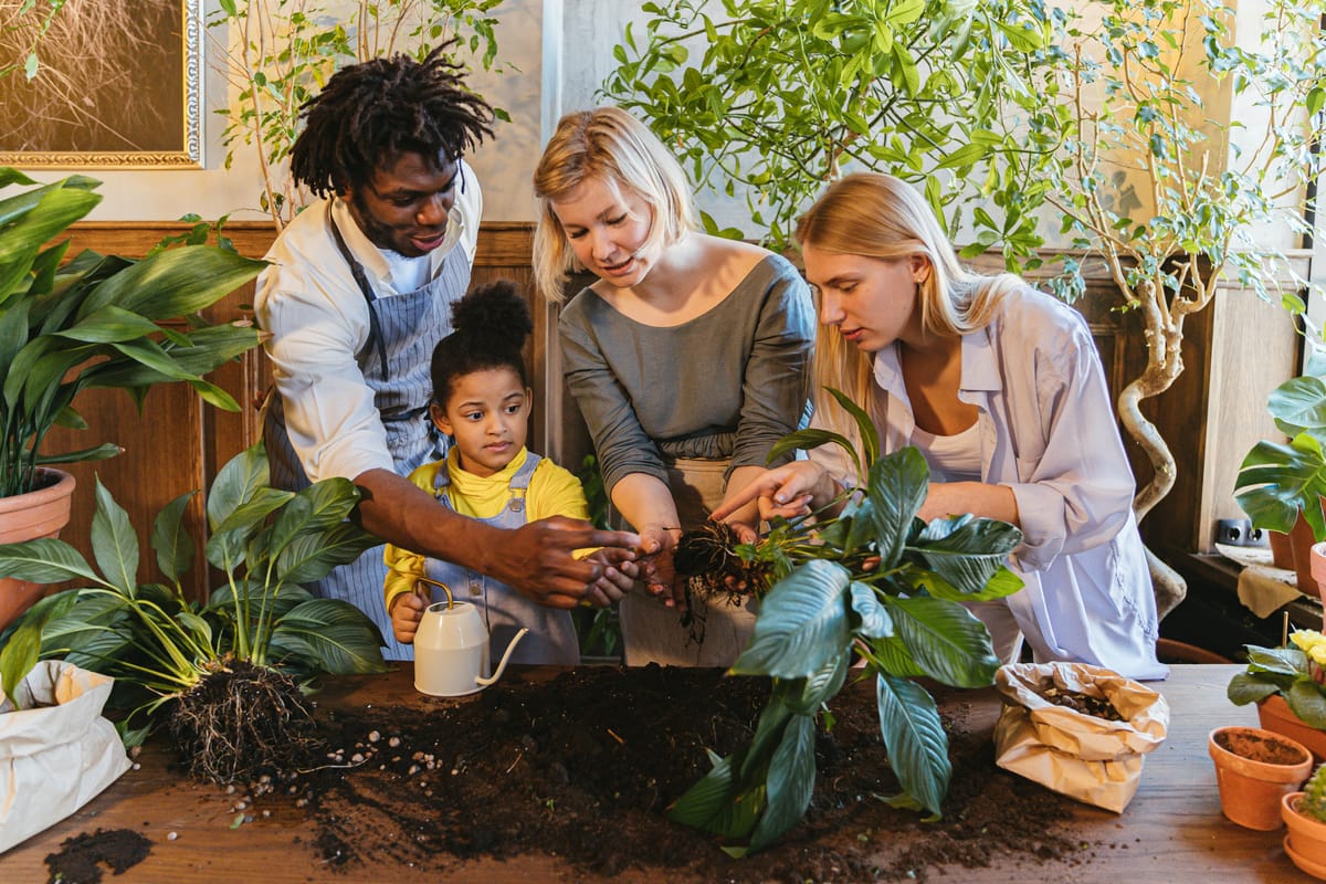 Start a Family Garden: A Beginner’s Guide