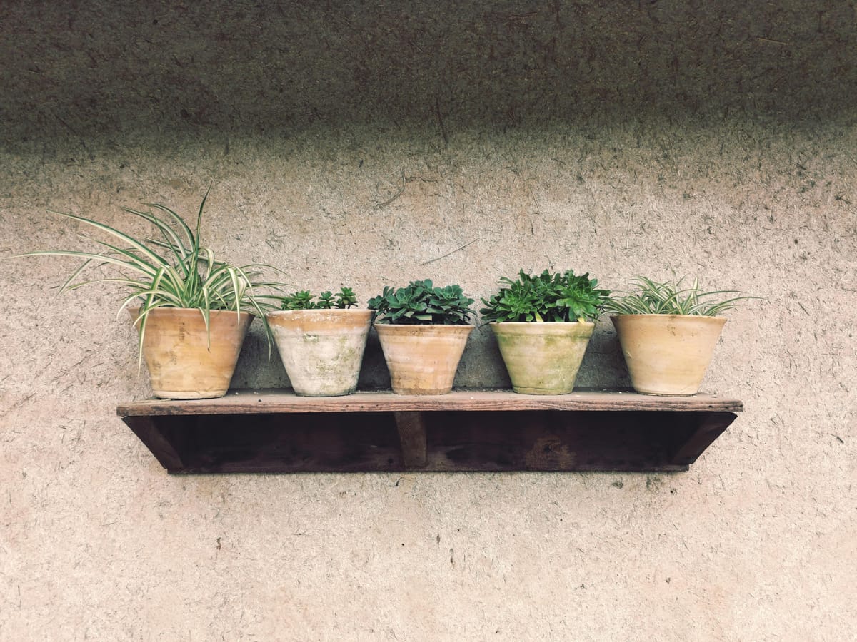 Indoor Gardening for Small Apartments: Top Space-Saving Tips