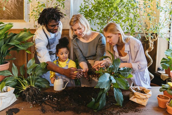 Start a Family Garden: A Beginner’s Guide